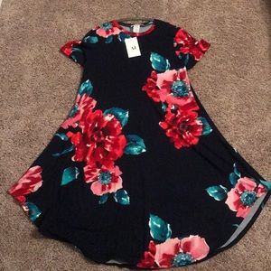Amelia James Chelan Swing Dress